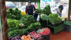 Denizli Balık Pazarı’nda Taptaze Yeşillikler