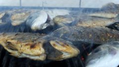 Pamukkale Kaptan Balık Pişirici Ömer Usta ( Video)