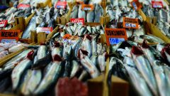 Balık Yemenin 10 Önemli Faydası