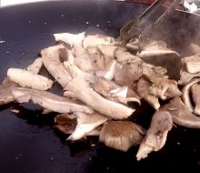 Bitkisel Et İstiridye Mantarı