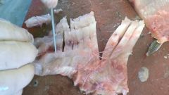 Sazan Balığı Öyle Temizledi Ki Kılçık Kalmadı